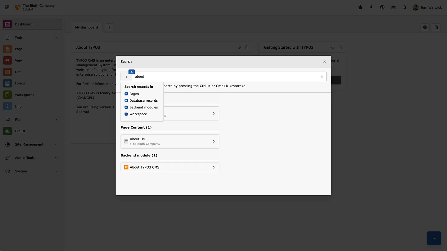 Screenshot of TYPO3's backend search box.