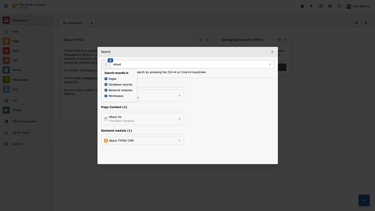Screenshot of TYPO3's backend search box.