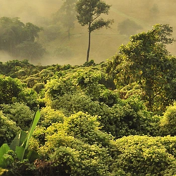 WWF Germany