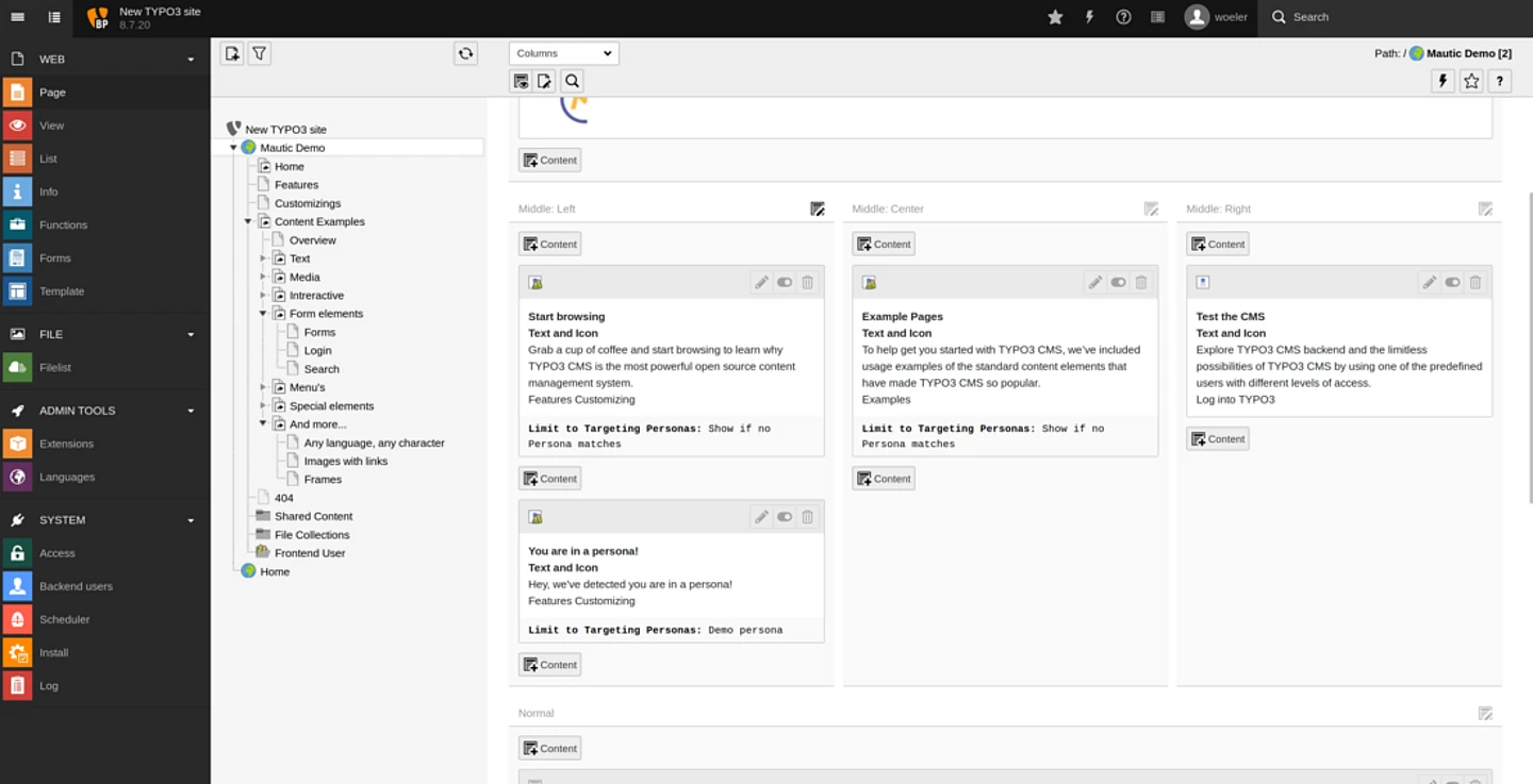 Screenshot of TYPO3 backend using Mautic.