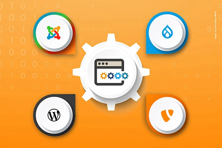 Joomla, Drupal, WordPress, and TYPO3 logos surrounding a web development gear icon.