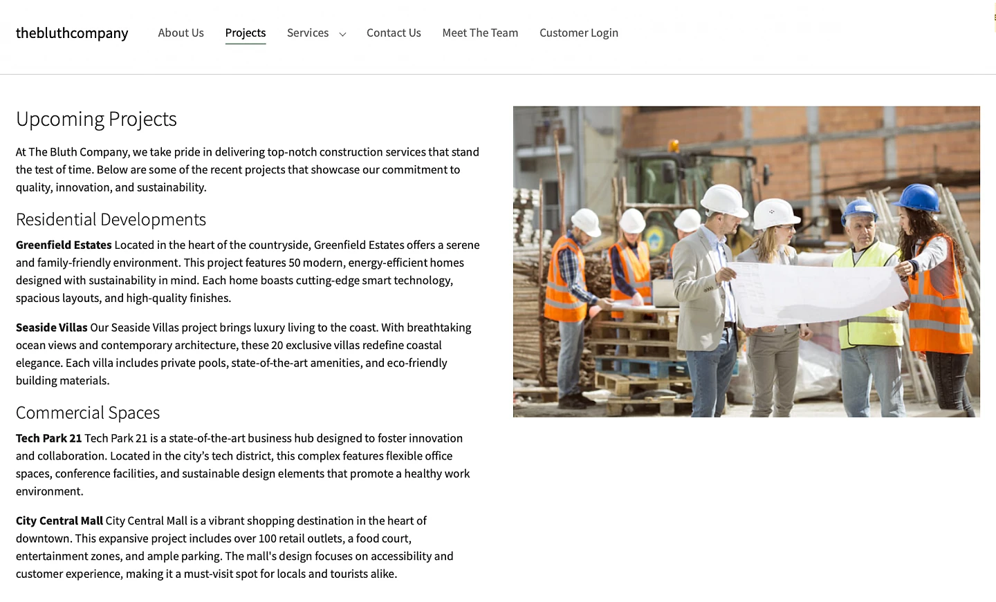 Screenshot of the frontend, showing the new projects page with some example text and image next to it 